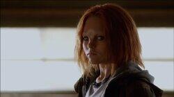 The Searcher The Searcher