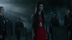 Bad Blood Bad Blood