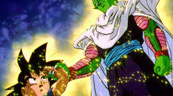 Piccolo's Decision Piccolo's Decision