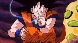 The Innards of Buu The Innards of Buu