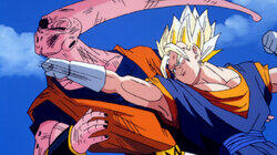 Rip in the Universe Rip in the Universe