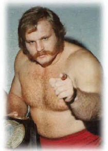 Ole Anderson