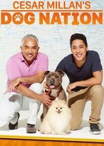 Cesar Millan's Dog Nation