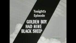 Golden Boy Had Nine Black Sheep Golden Boy Had Nine Black Sheep