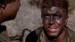 Casualties of War Casualties of War