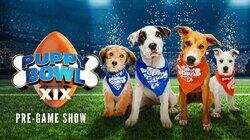 Puppy Bowl XIX