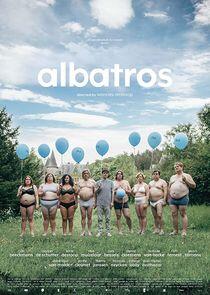 Albatros