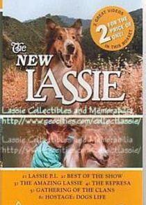 The New Lassie