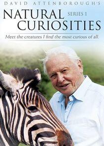 David Attenborough's Natural Curiosities - Season 1