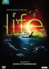 Life - Season 1