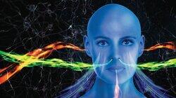 Myth or Science: The Secrets of Our Senses