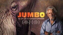 Jumbo: The Life of an Elephant Superstar