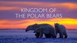 Kingdom of the Polar Bears: Part 2