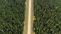 Dempster Highway South