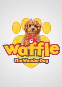 Waffle the Wonder Dog