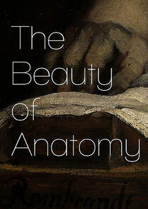 The Beauty of Anatomy