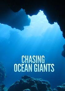 Chasing Ocean Giants