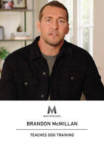 MasterClass: Brandon McMillan Teaches Dog Training