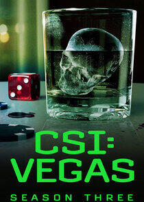 CSI: Vegas - Season 3