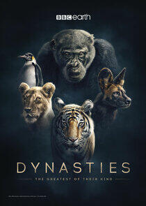 Dynasties - Season 1