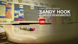 Sandy Hook: Forever Remembered