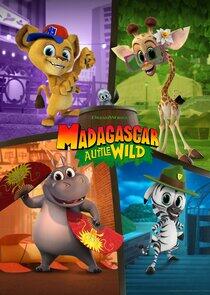 Madagascar: A Little Wild