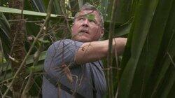 Marvelous Madagascar Marvelous Madagascar