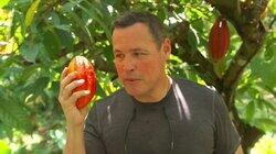 Belize: Operation Chocolate Belize: Operation Chocolate