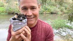 The Garden Island The Garden Island