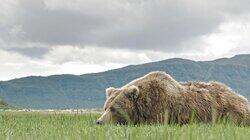 Katmai