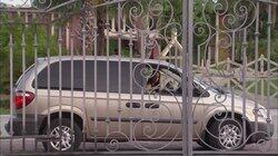 Capítulo 49 Capítulo 49