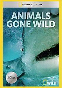 Animals Gone Wild - Season 1