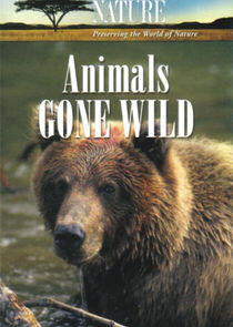 Animals Gone Wild - Season 2