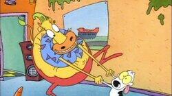 Bedfellows Bedfellows