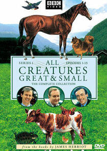 All Creatures Great and Small - Season 1