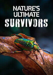 Nature's Ultimate Survivors