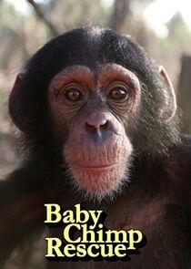 Baby Chimp Rescue