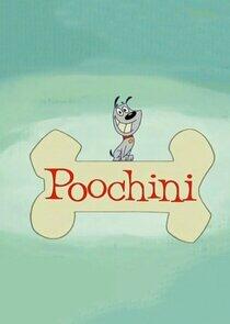 Poochini