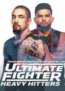 The Ultimate Fighter - Season 28