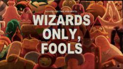 Wizards Only, Fools