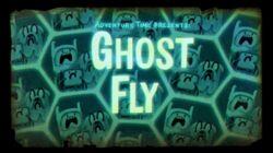 Ghost Fly