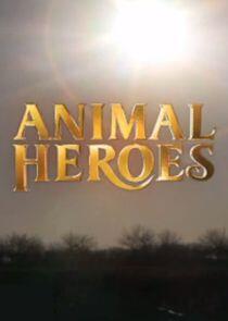 Animal Heroes