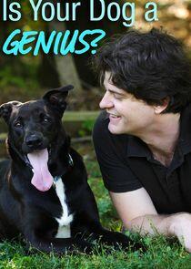 Is Your Dog a Genius?