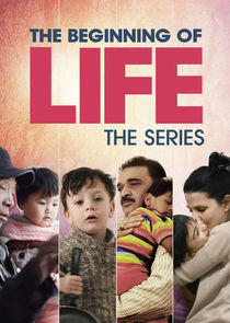 The Beginning of Life: The Series