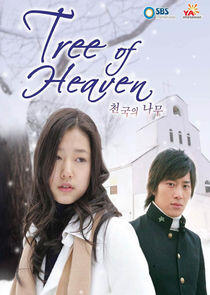 Tree of Heaven