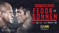 Bellator 208: Fedor vs. Sonnen