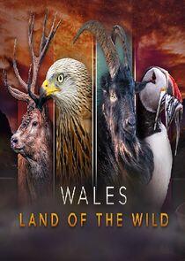 Wales: Land of the Wild