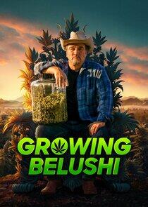 Growing Belushi