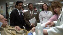 Fortune's Fools Fortune's Fools