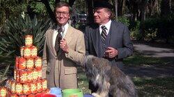 Murder Is Man's Best Friend Murder Is Man's Best Friend